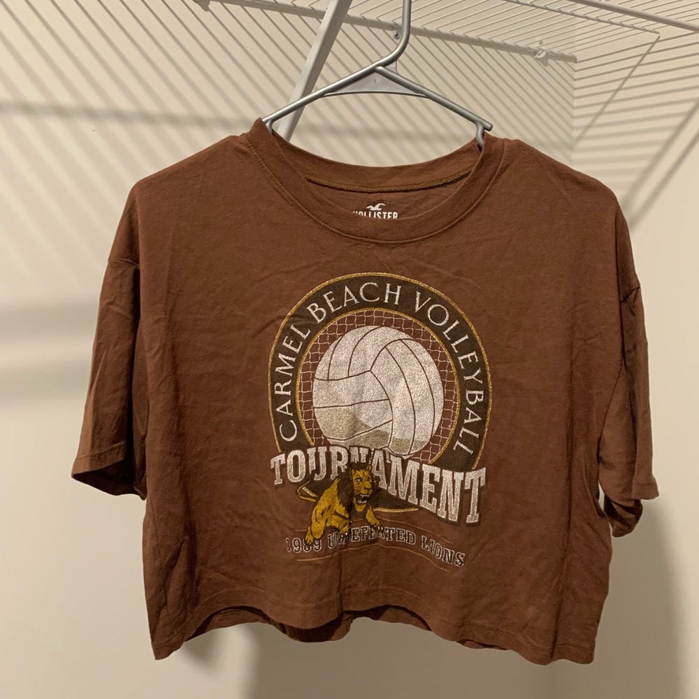 NWOT Hollister Brown Graphic Crop Top